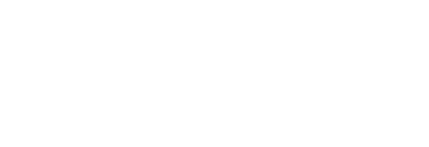 Our Technology Partners 