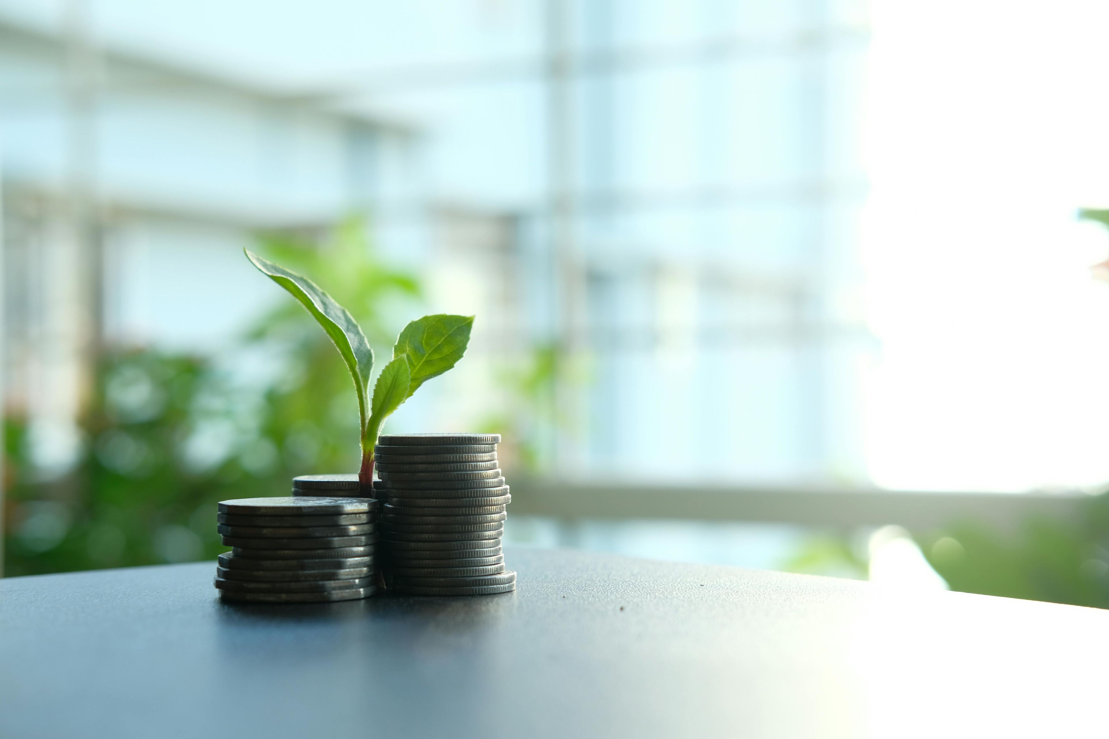What Actually Drives ROI in Hospitality Digital Marketing